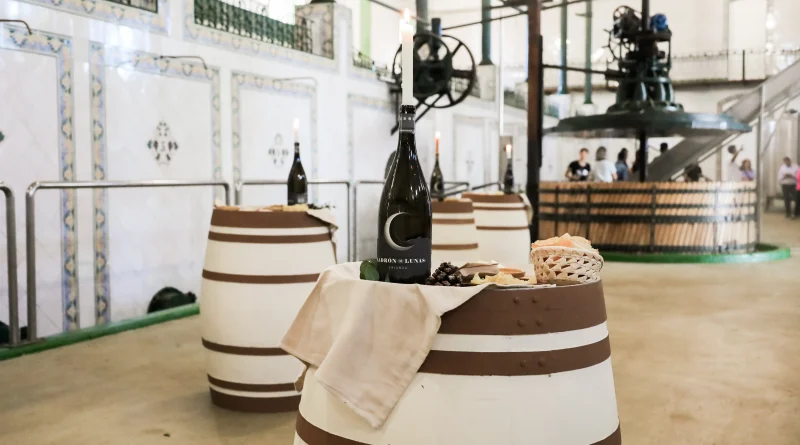 cata de vinos en requena
