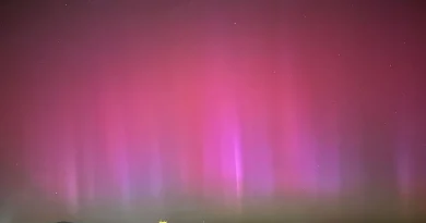 aurora polar valencia
